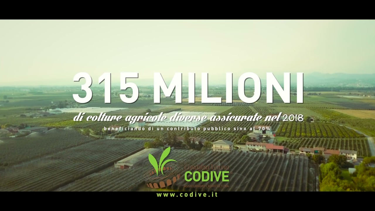 CODIVE NEW 2018 spot 18 MASTER v2