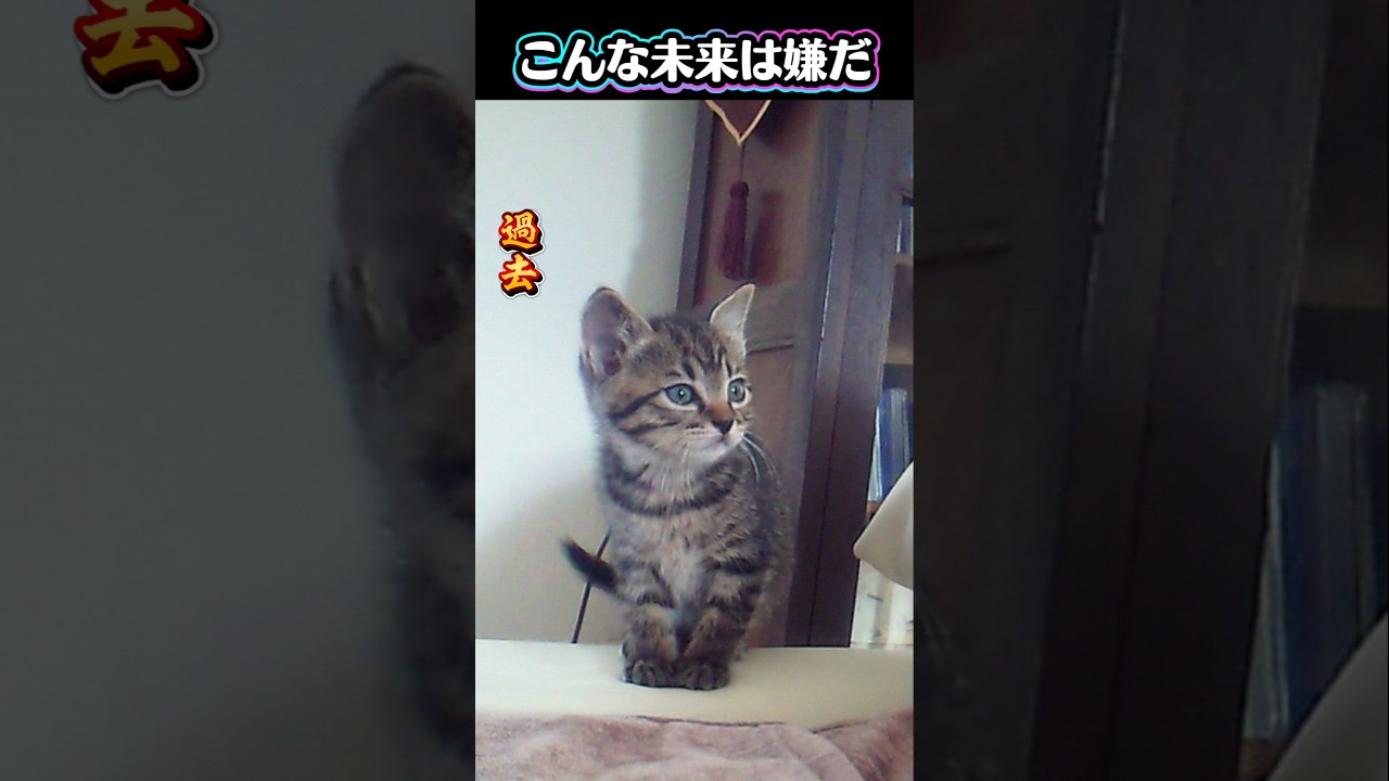 寅子「こんな未来は嫌だ」
