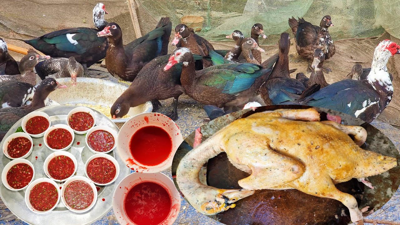 Ngan Đen 5 Món, Ngon Quên Lối Về | Lối Về Làng TV!