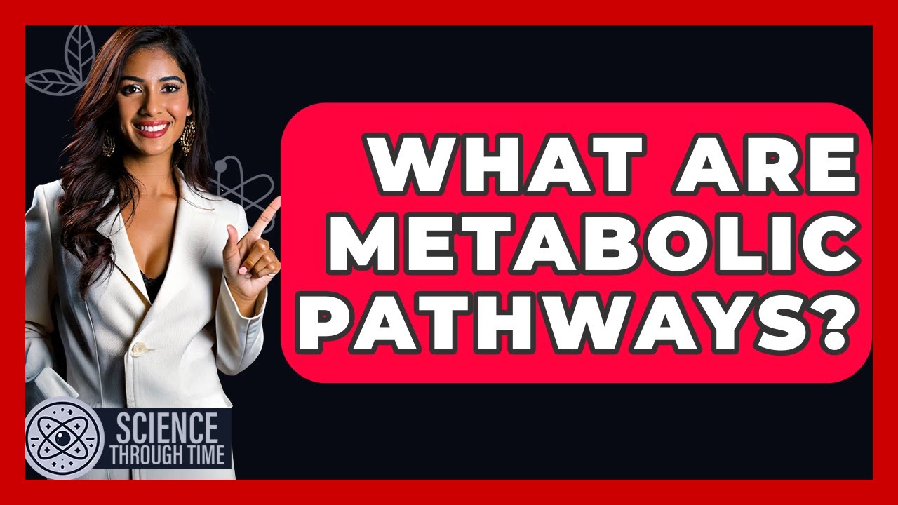 What Are Metabolic Pathways? - Science Through Time