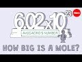 How big is a mole? (Not the animal, the other one.) - Daniel Dulek
