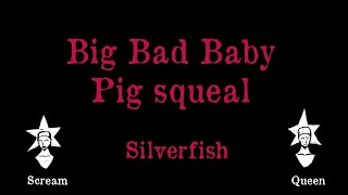 Silverfish - Big Bad Baby Pig Squeal - Karaoke