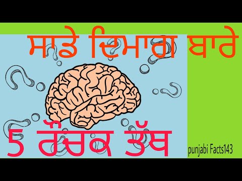 ਦਿਮਾਗ ਦੇ ਬਾਰੇ 5 ਰੌਚਕ ਤੱਥ। Top 5 interesting facts about human brain in punjabi