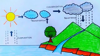 How to draw water cycle | Water cycle diagram school project| Easy water cycle diagram