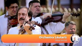 Orchestra Lautariu - Bataia pisicata