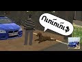 Car Parking Multiplayer #1 | Տարօրինակ շնիկը | Matarik Hay