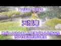 【京都観光 4k】癒されるっ‼️お経を聴きながらの京都天授庵で池と庭園 #京都 #kyoto #temple