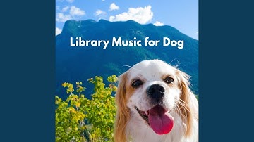 Cool Forgetting Mirrors