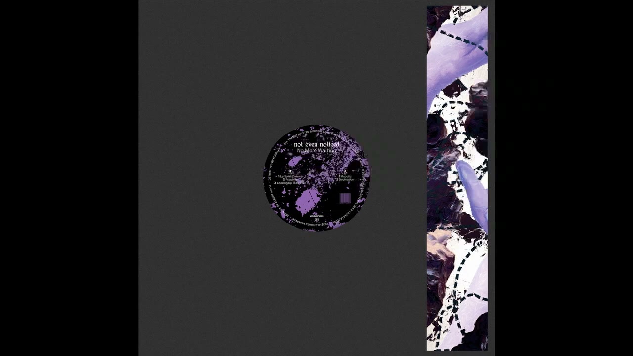 not even noticed -- Psephite