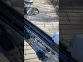 Skoda Fabia 2005 Drivers Window Not Going Up And Down Skoda Fabia 2005 Drivers Window Not Going Up And Down