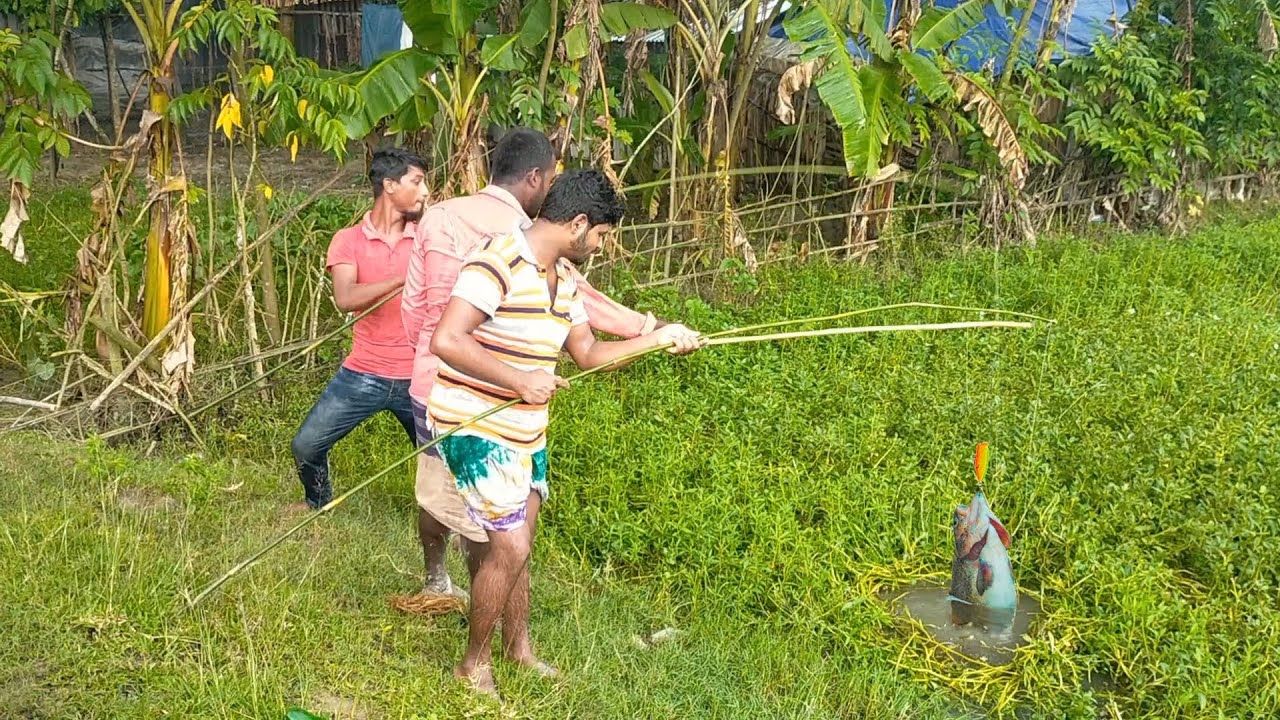 Best fishing video with hook in beautiful natural village |  Hook fishing in small village