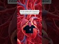 TWITCH: MELLSTROY #меллстрой #юмор #прикол #шутка