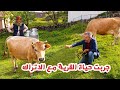 حياة الريف التركي | الريف التركي | طرابزون | الشمال التركي 2021