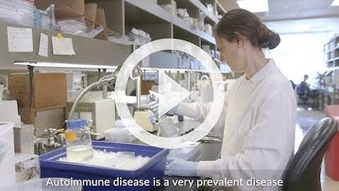 Greet Verstichel, M.D., Ph.D. | SPARK 2019 | TOWARDS A CURE FOR AUTOIMMUNE DISEASES