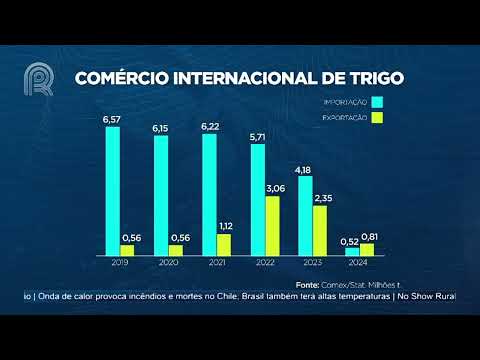 Agroexport: importação do trigo está no menor patamar para janeiro em 7 anos | Canal Rural