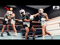 Professional boxer sparring  day in camp intense