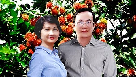 Vợ Chồng Quê. Song ca Ngọc Cẩm - Nguyễn Hữu Thiết.