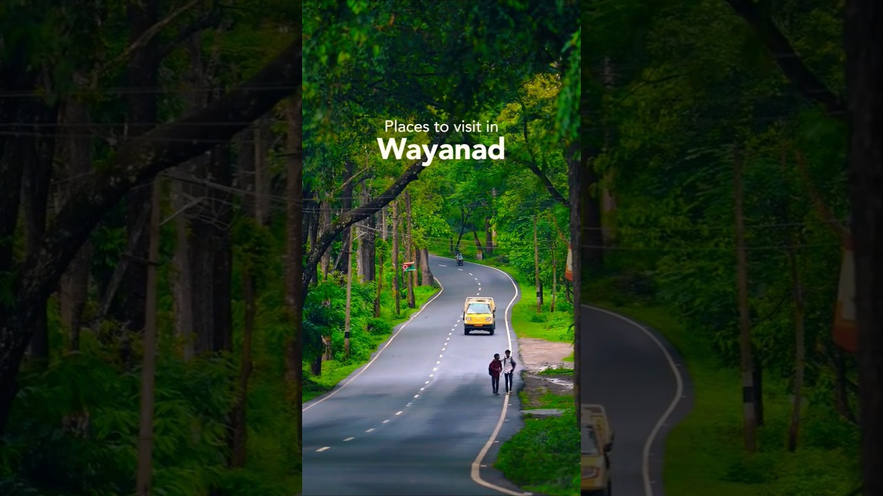 Wayanad Wonders | Places To Visit In Wayanad | Kerala Trip | Kerala Itinerary Wayanad Wonders | Places To Visit In Wayanad | Kerala Trip | Kerala Itinerary