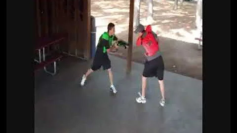 Q-Zar: Berryhill Park 1