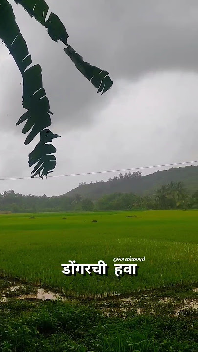 गार डोंगरची हवा 😍 | Gar dongrachi hava | Trending song #kokan #dongar #sheti