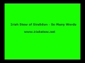 Irish Stew of Sindidun-  The Stew
