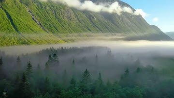 27 سورة النمل بصوت كروان السماء الشيخ محمود على البنا