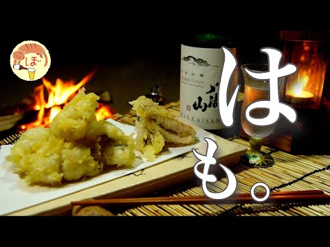 【はも天ぷら】ぼっち女のソロキャンプ 【半車中泊】tempura of pike conger eel[Japanese style izakaya at camp]