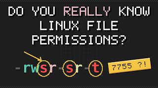 Do You Really Know Linux File Permissions (rwx, 755, umask, setuid, sticky bit)