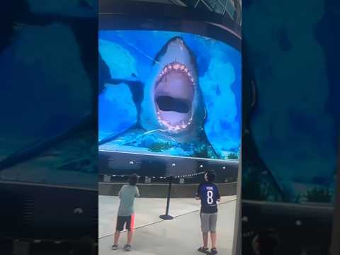 A kids ￼reaction