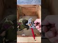 Automatic slingshot #bow #tools #slingshot #edc #airsoft #tricktools #dodgebow #nerf #customtools