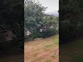 Waking up to the voice of nature in Switzerland. We want this in Canada