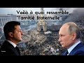 Voil  quoi ressemble lamiti fraternelle