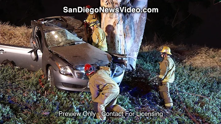 Man Killed After Car Flies Off Highway Into Tree, ...