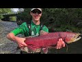 Pink Salmon Fishing Mania: HOPE, ALASKA