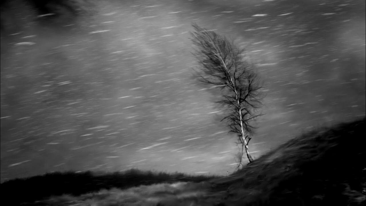 Раздался легкий свист и дубровский умолк знаки препинания. Метафоры про осень. Сильный ветер в лесу. Черные тучи. Мраком задернуты небо и даль ветер.