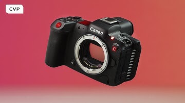 What makes this mirrorless camera such a good Hybrid?