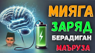 видео: Мия учун жудаям фойдали маъруза! ~Абдуллох Домла ~Abdulloh Domla |ilmnuri #abdullohdomla #namoz #rek картинка: Мия учун жудаям фойдали маъруза! ~Абдуллох Домла ~Abdulloh Domla |ilmnuri #abdullohdomla #namoz #rek