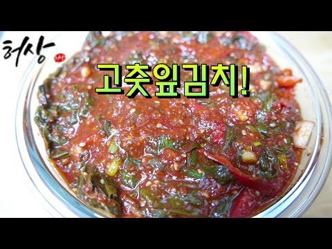 고춧잎김치 담그는법 고춧잎장아찌무침(How to make kimchi with red pepper leaves.)