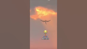 Thumbnail of Angel Caught on Camera 🕊️🛐#shorts #parati