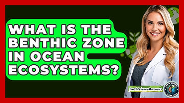 What Is The Benthic Zone In Ocean Ecosystems? - Earth Science Answers