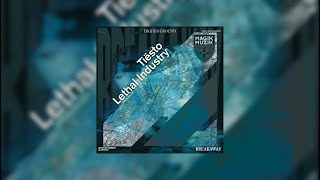 Breakaway Vs Lethal Industry Vs Higher Ground martin Garrix Mashup