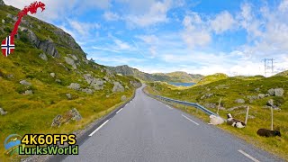 Driving in Norway - Suleskard To Nomeland, Suleskarvegen - 4K60 Road Trip