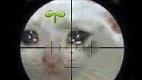 A lone sprout wanders into the Orbonne Monastery.