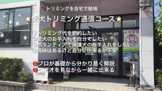 愛犬トリミング通信コース内容紹介