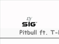 Dj sig  pitbull mix