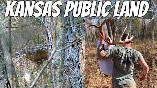 Kansas Public Land Bowhunting / Whitetail Rut / Deer Hunting / Midwest Whitetail Action