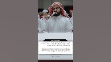 شيخ رعد الكردي حالات واتس اب | سورة: (آل عمران: ١٣٥)