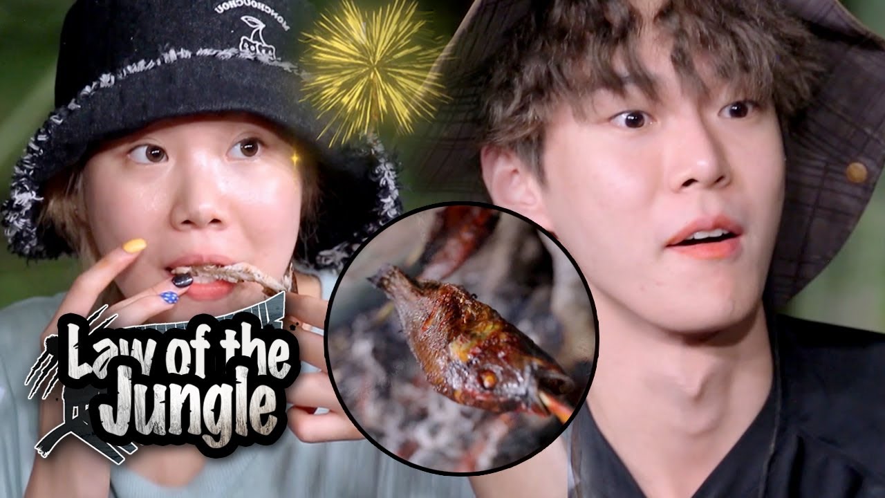 seulgi law of the jungle seulgi law of the jungle