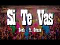 Sech, Ozuna - Si Te Vas (Letra/Lyrics)