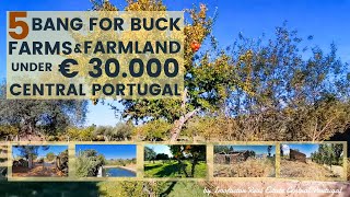 🌄 5 Bang for the Buck Farms & Farmland, under €30.000, for Sale in Central Portugal